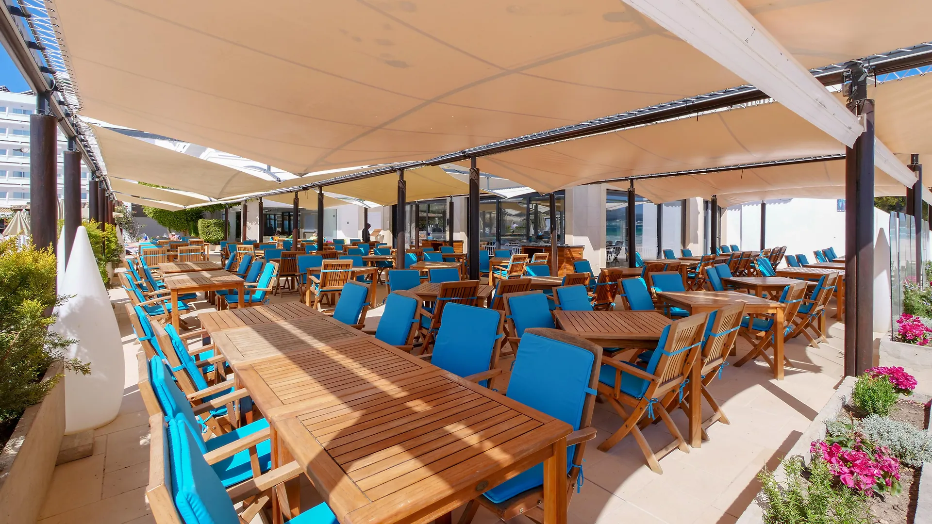 Hotel Condesa Port de Alcudia  Spain